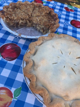 Two farm-baked apple pies on a checkered tablecloth