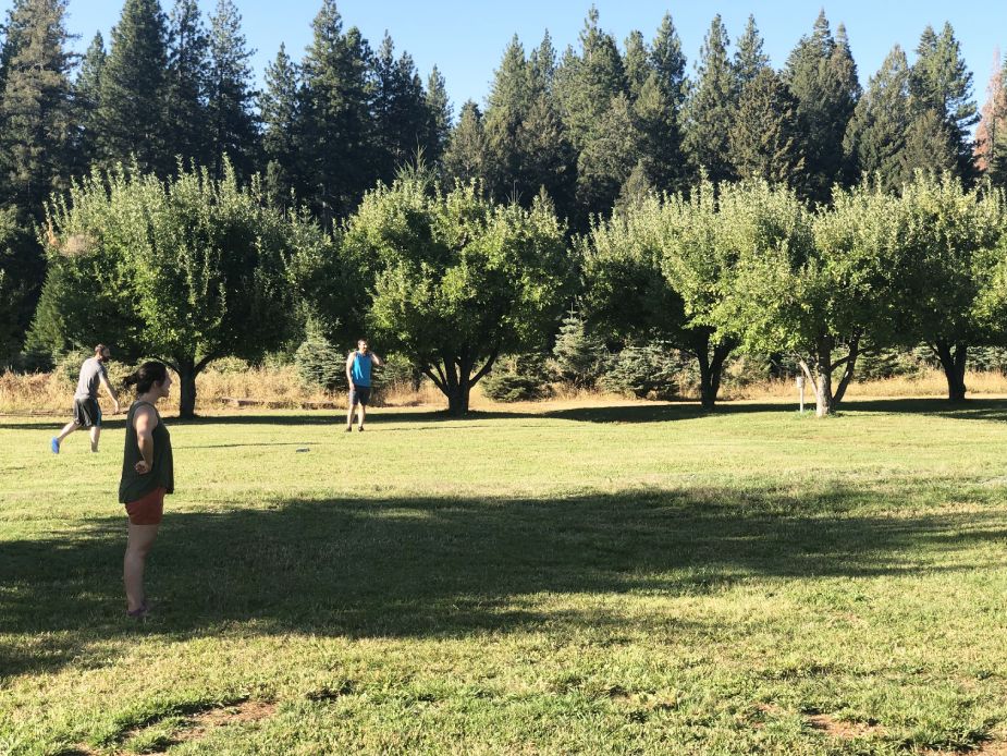 Lawn games in the orchard at Harris Family Farm